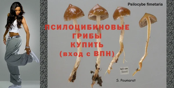 тгк Михайловск
