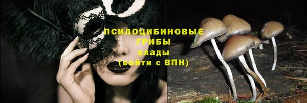 индика Михайлов