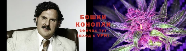 тгк Михайловск