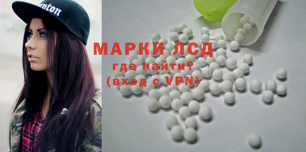 гидра Михайловка