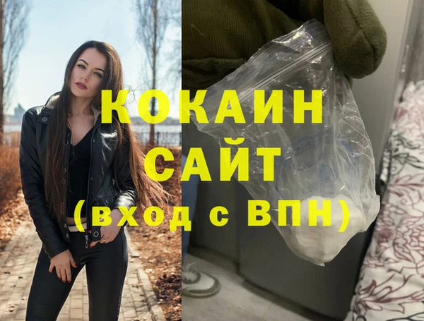 гидра Михайловка
