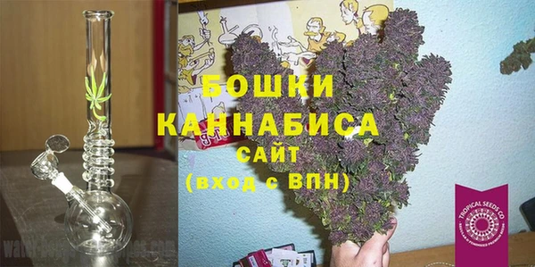 гидра Михайловка