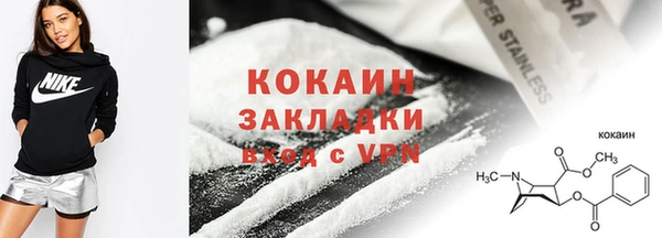 индика Михайлов