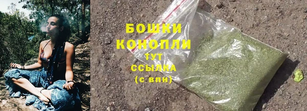 индика Михайлов
