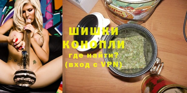 гидра Михайловка