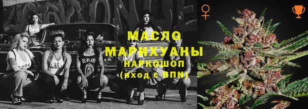 индика Михайлов