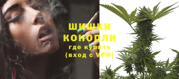 гидра Михайловка