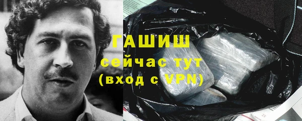 индика Михайлов