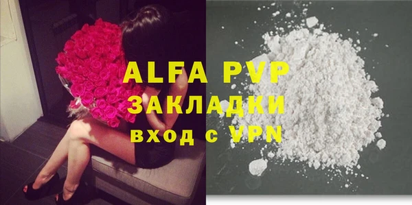 индика Михайлов