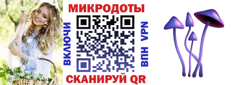 Псилоцибиновые грибы Magic Shrooms  Светлогорск 