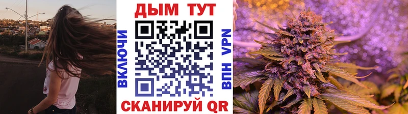 как найти наркотики  Светлогорск  Шишки марихуана индика 